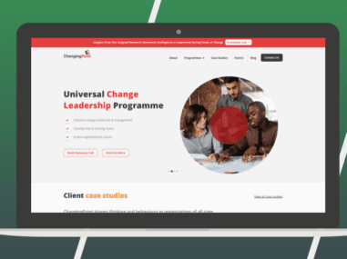 Marketing leadership consultancy