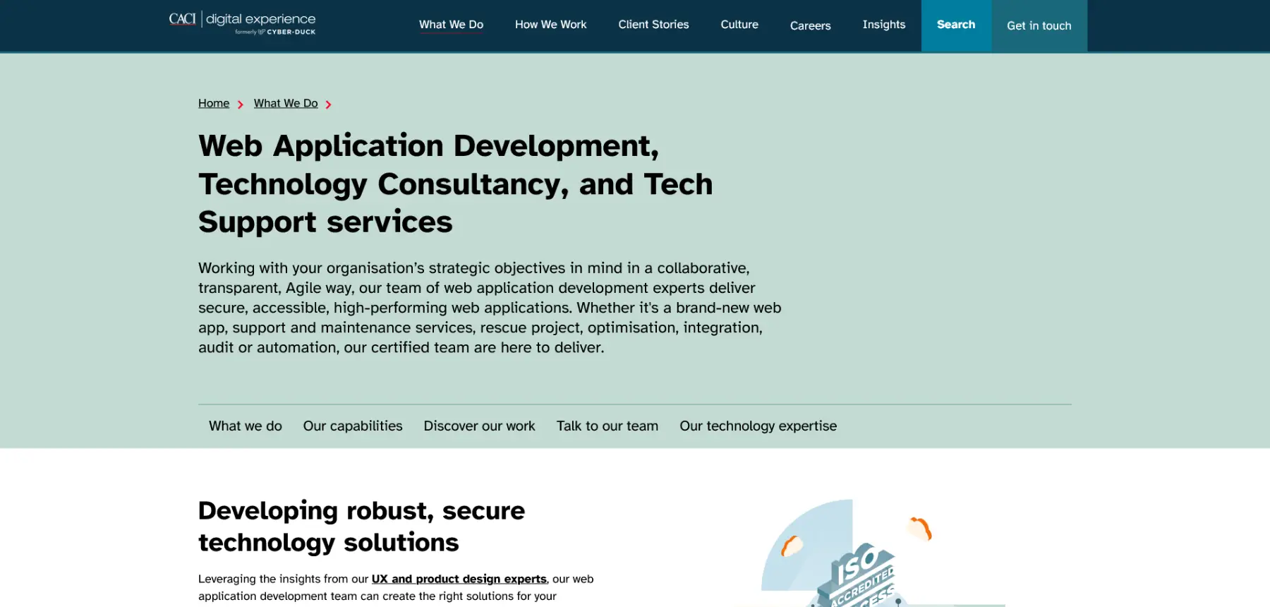 cyber-duck-site