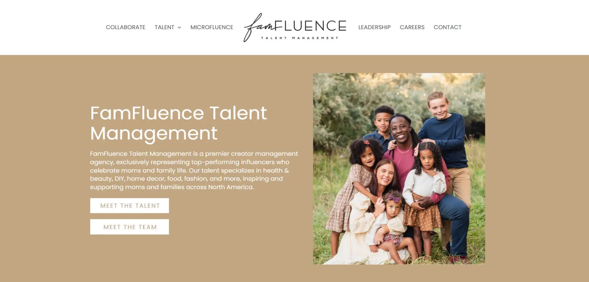 FamFluence