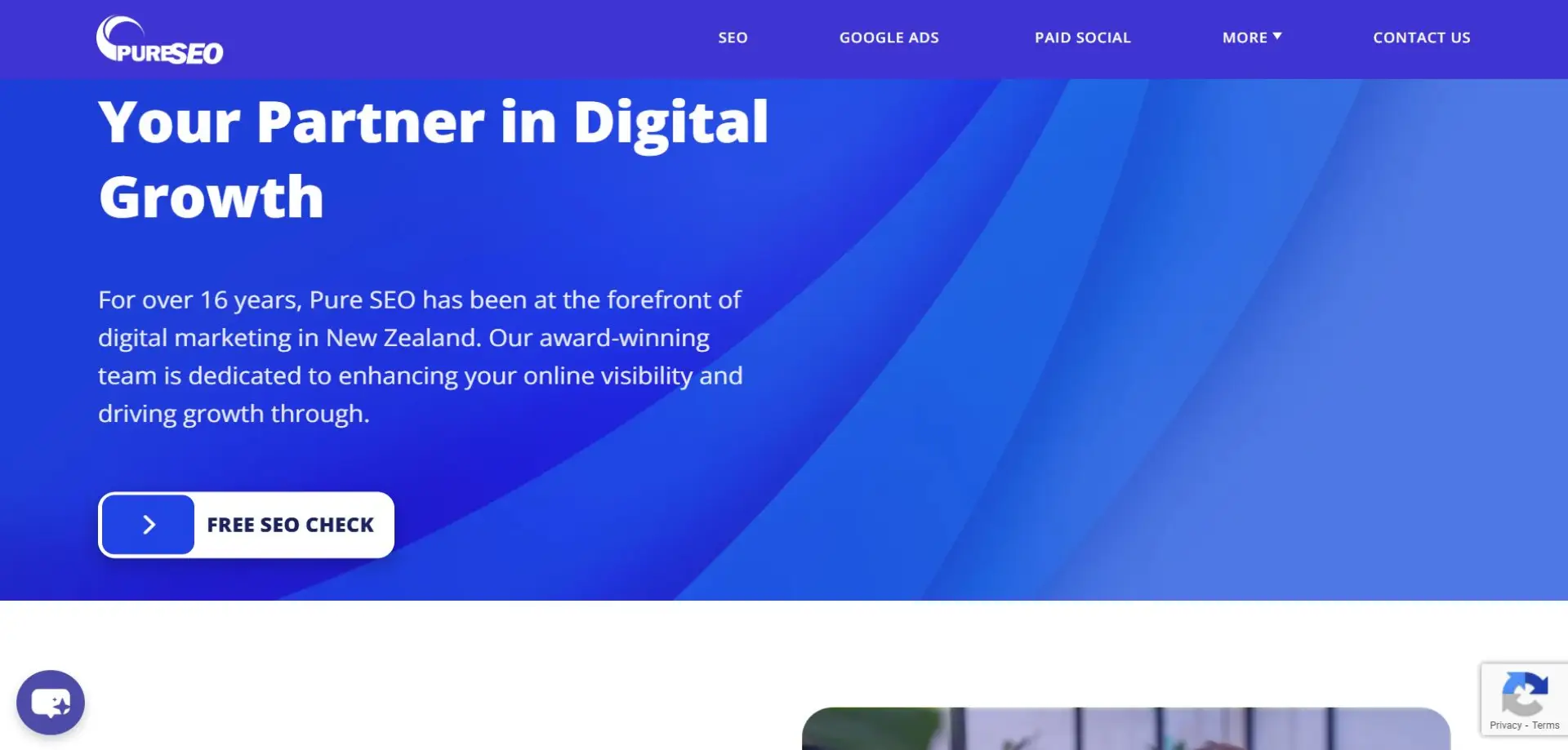 PureSEO Pure SEO homepage