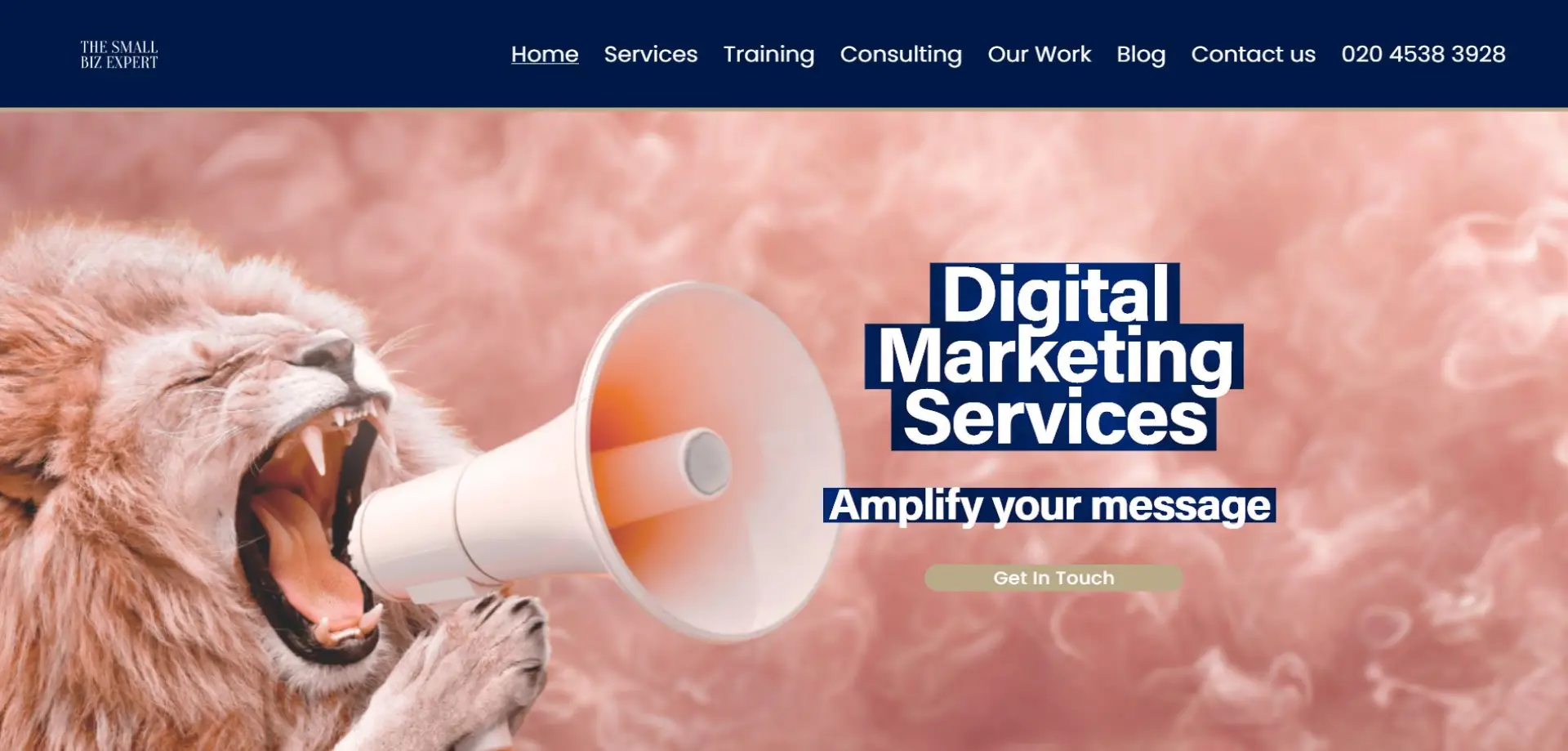 TheSmallBizExpert The Small Biz Expert homepage