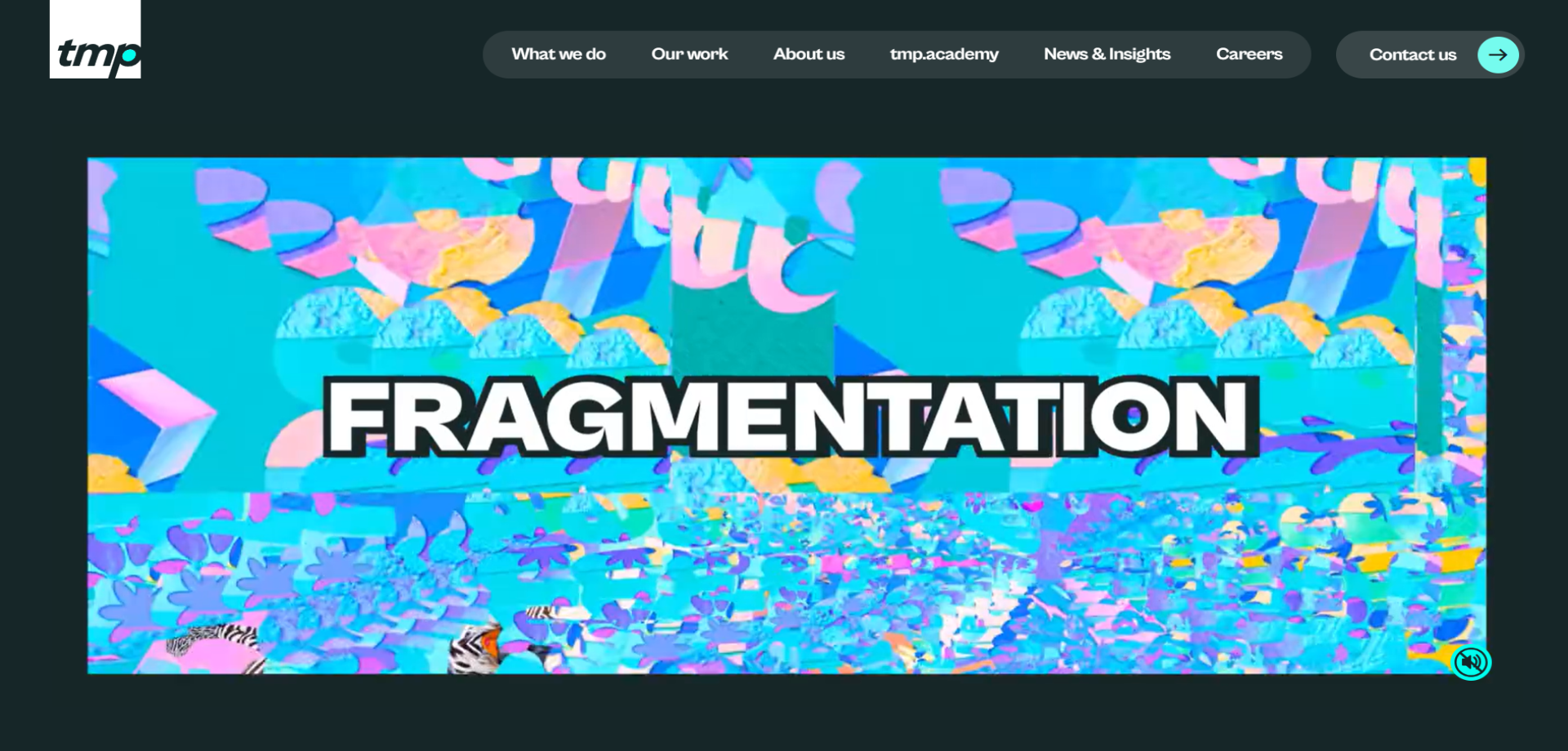 TMP TMP homepage